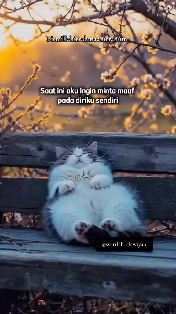 @📜Story Hati📜