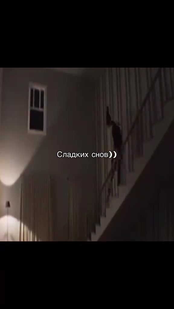 @bubufacts