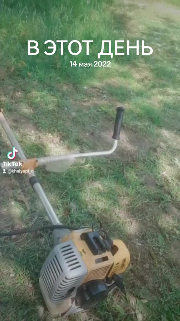 @Ольга Халяпина
