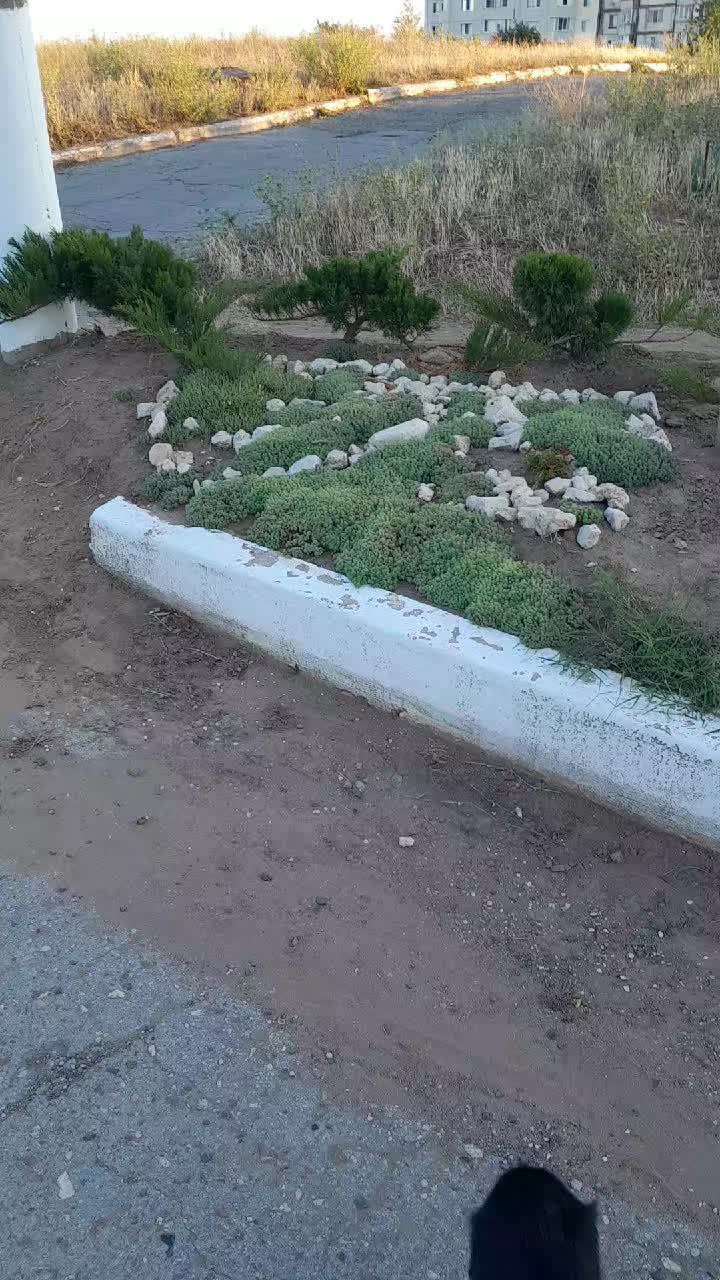 @Жужа