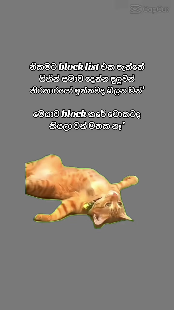 @Chalani🔮🪬🤍