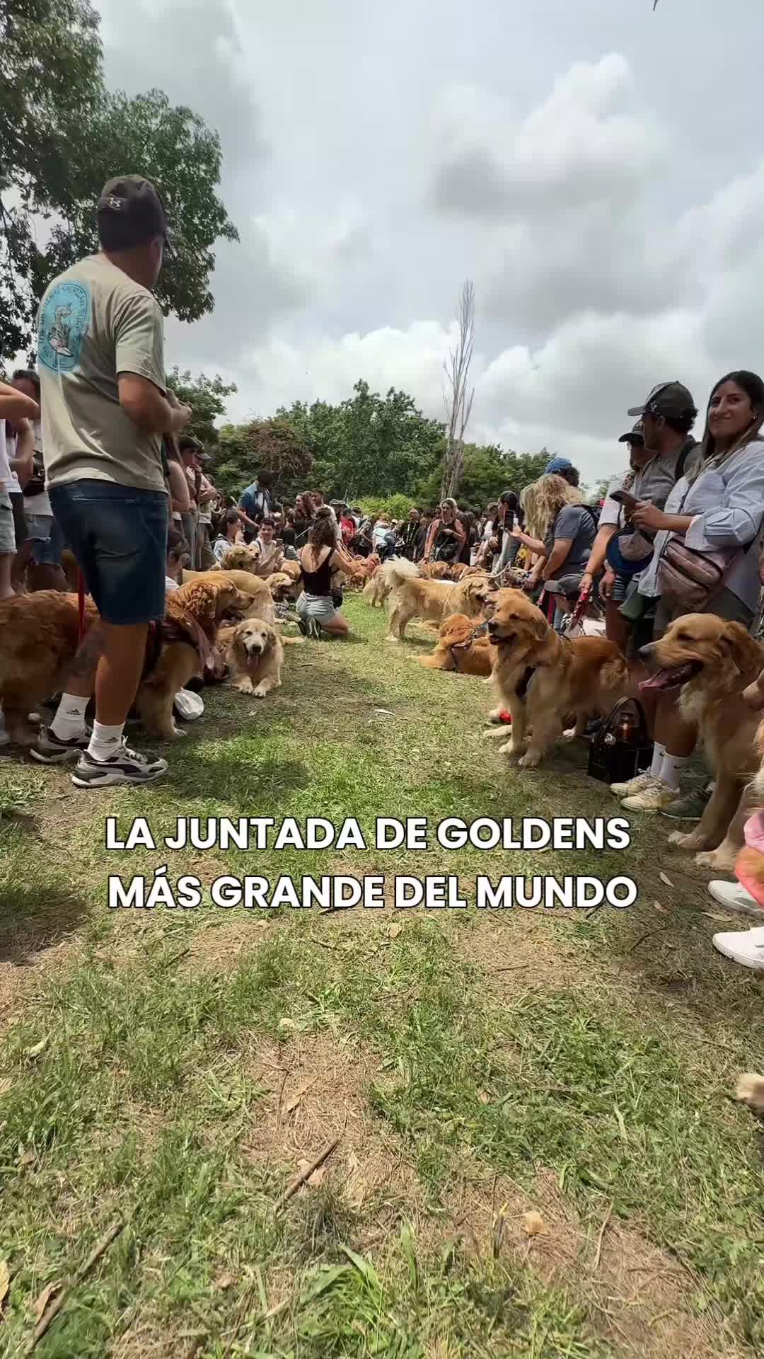 @Paseando en BA