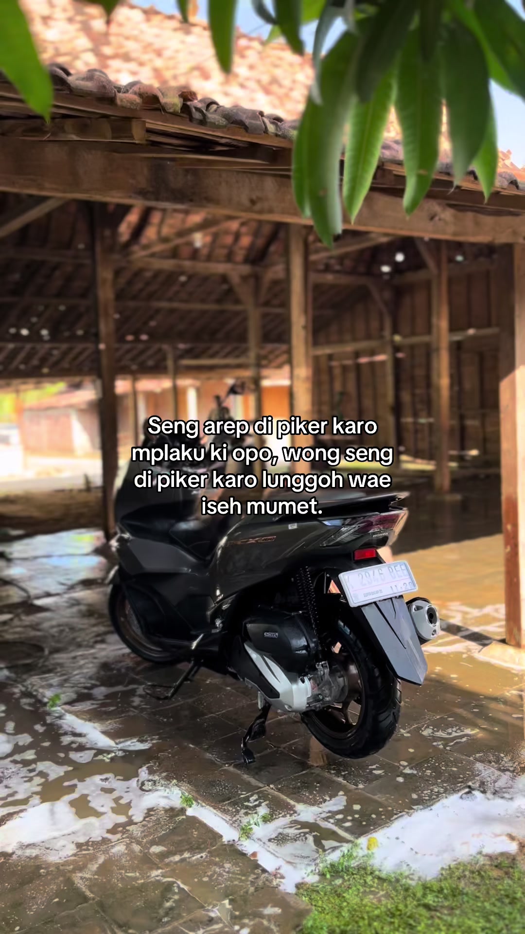 @𝐏𝐚𝐤𝐥𝐞𝐤_𝐝𝐨𝐥