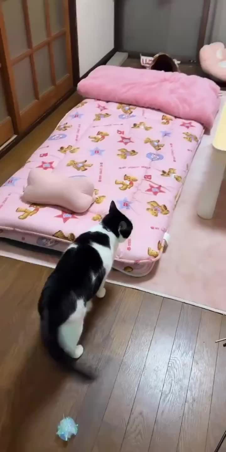 @๐ฑใใใใ๐ฑ