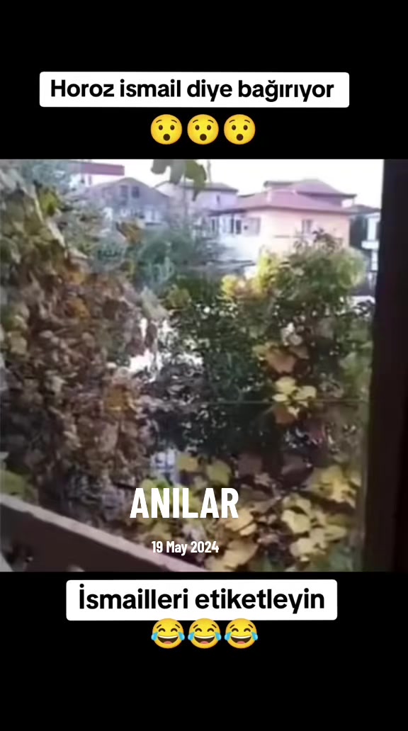 @K&ouml;m&uuml;r G&ouml;zl&uuml;m