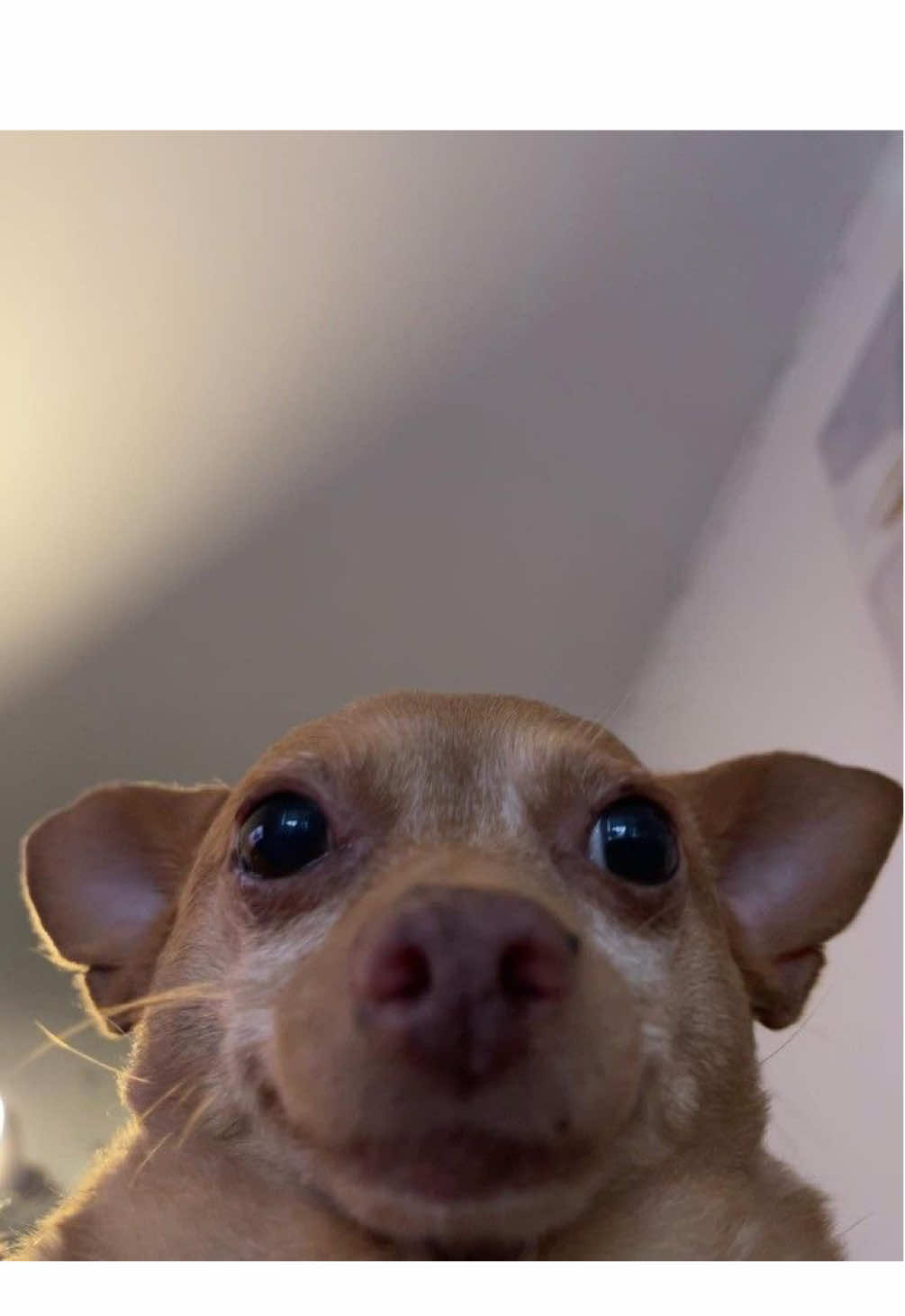 @𝒸