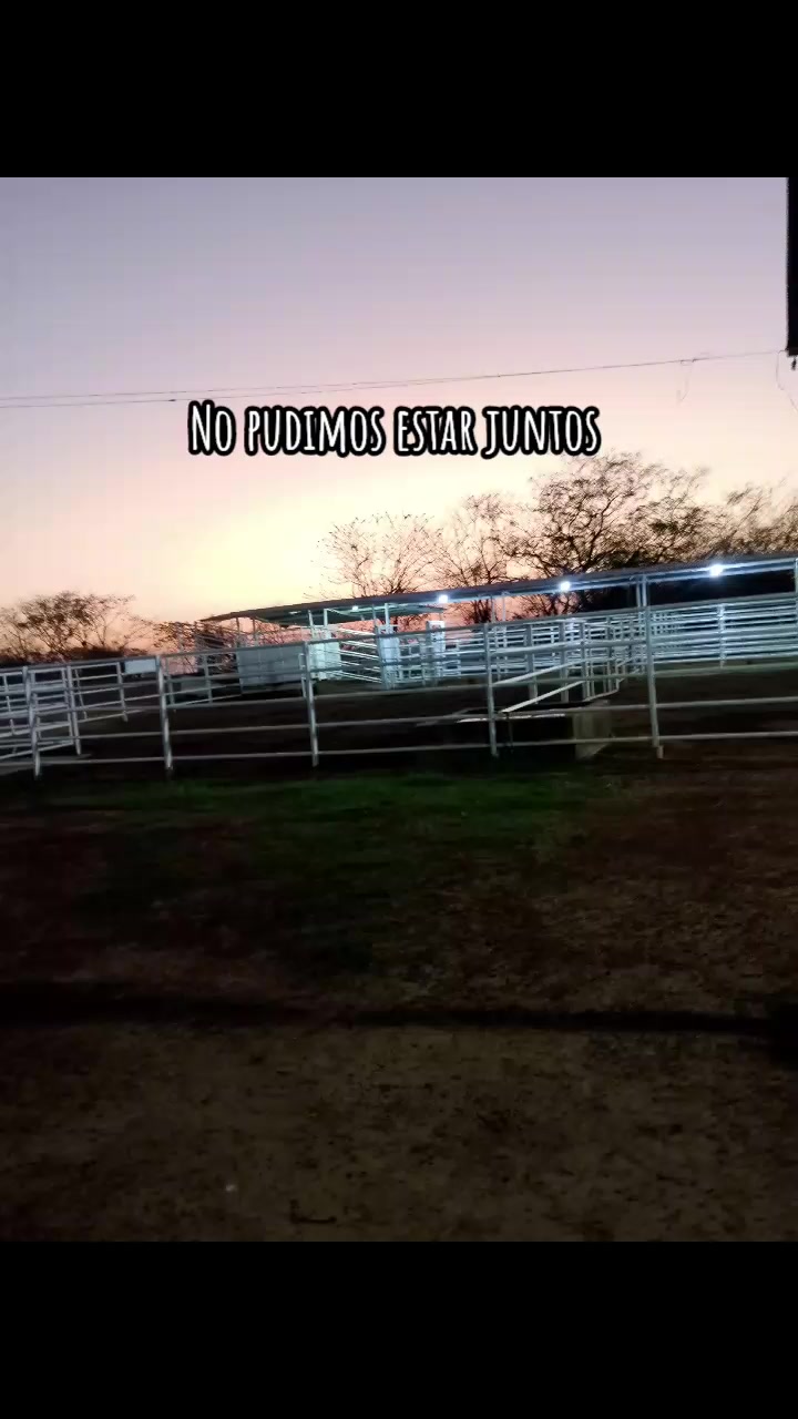 @Jose Delgado🌀