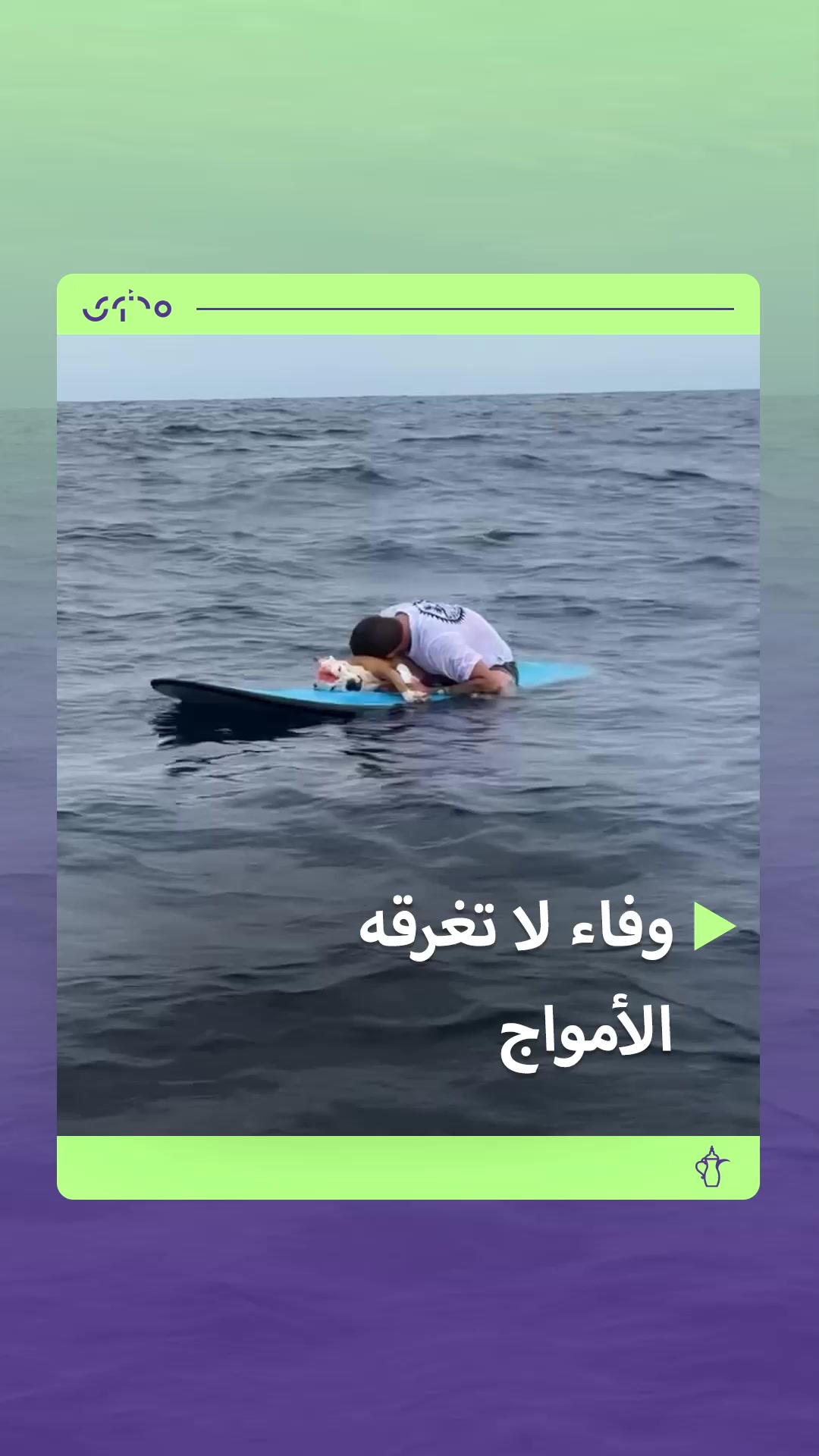 @Mohtawa - محتوى
