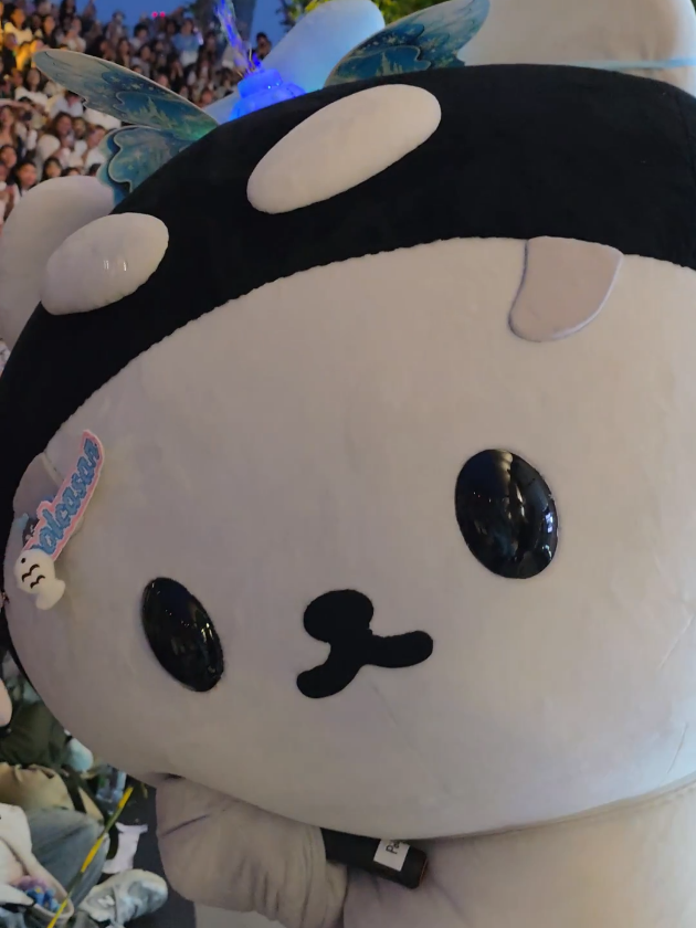 @TayNewSan🐋🐻❄️