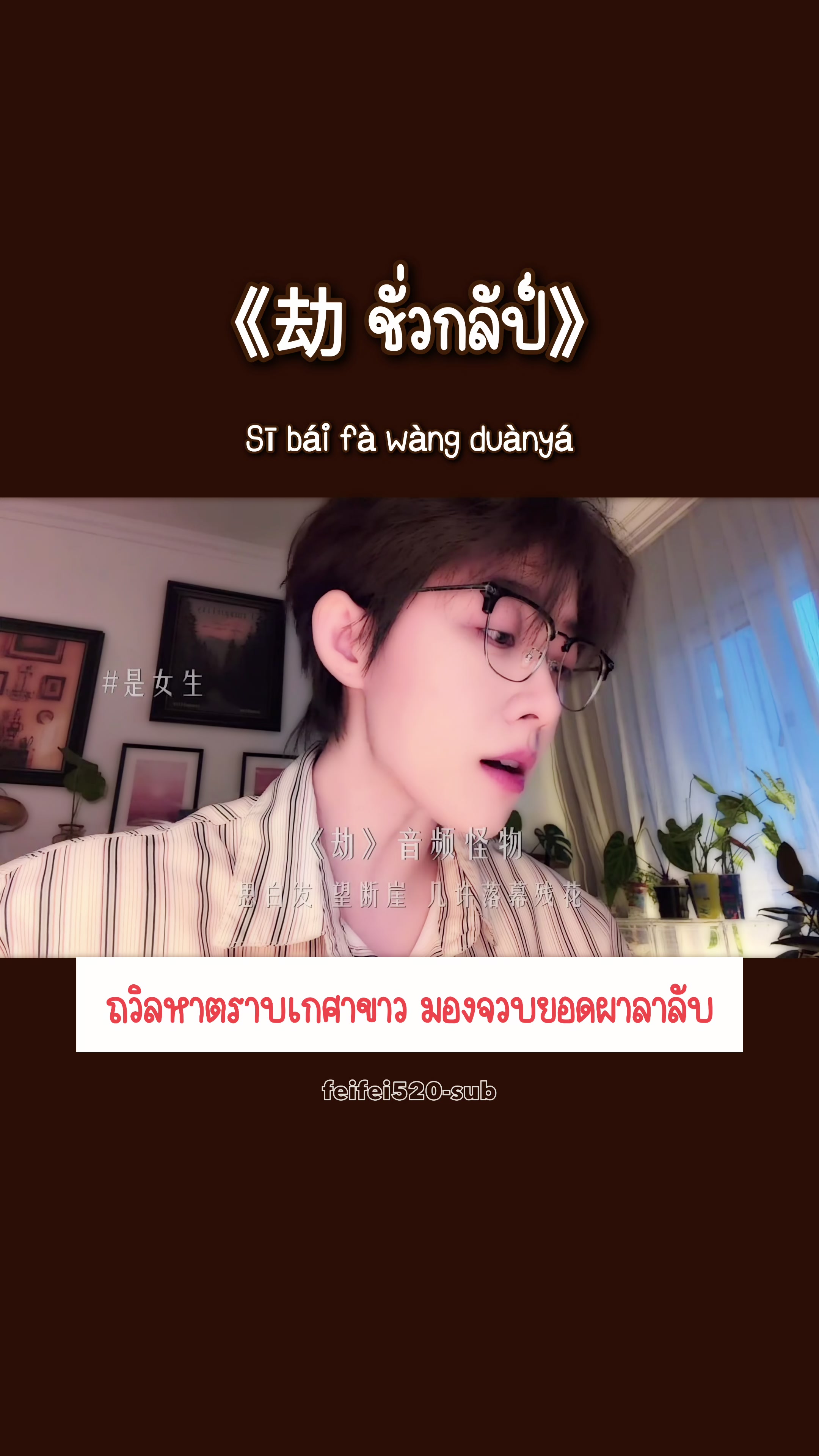 @feifei520