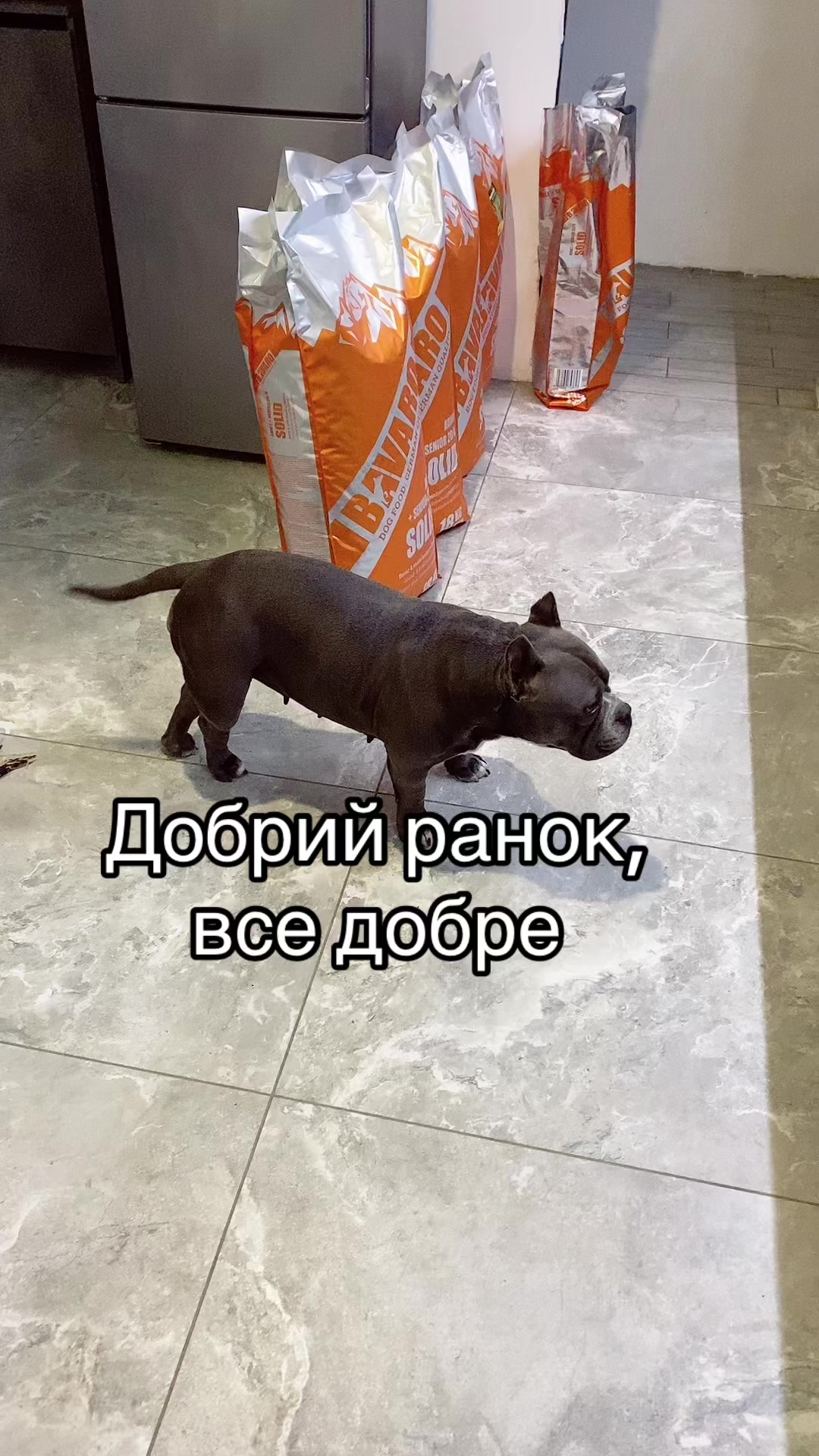 @Gre4anka