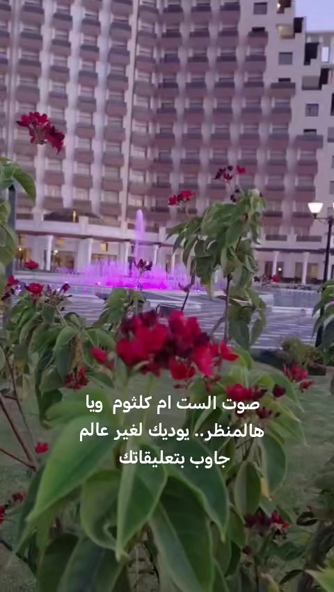 @سولاف امين الكربولي