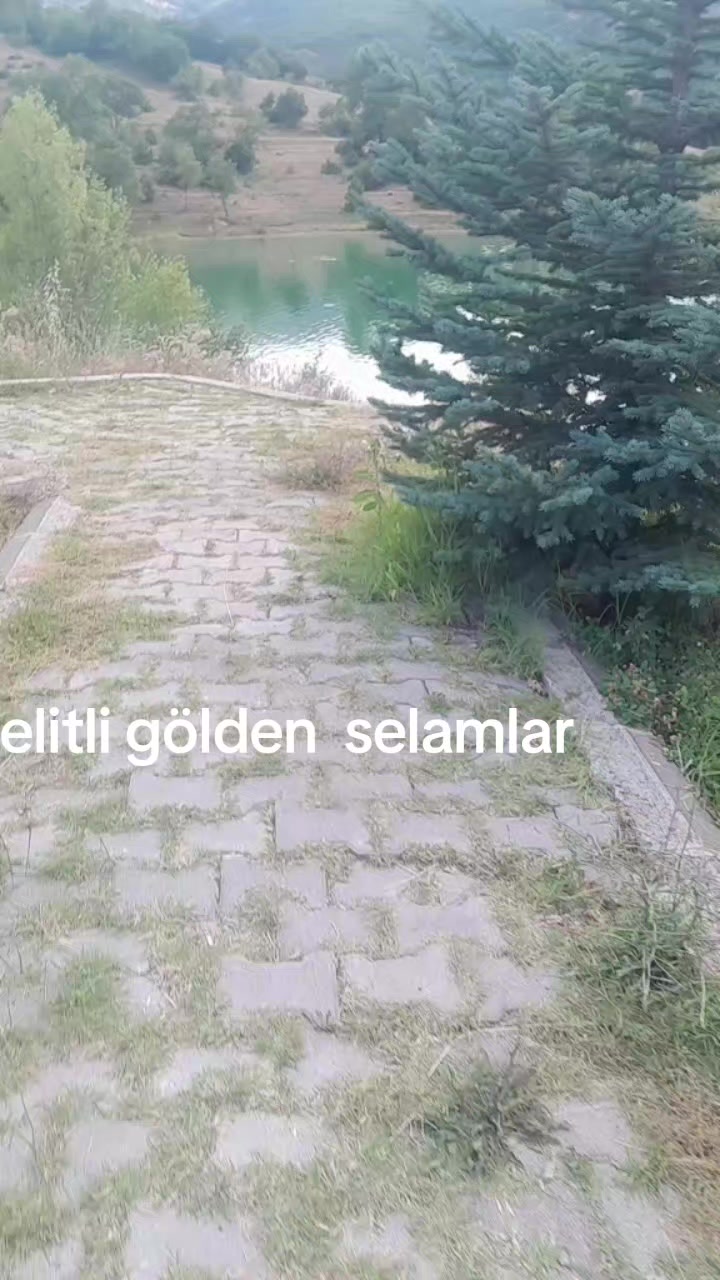 @Havvabilgin
