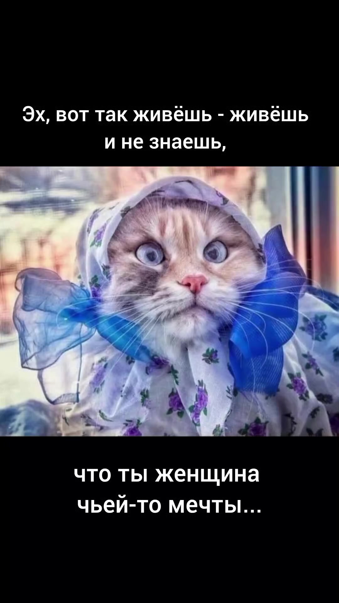 @STEFI88
