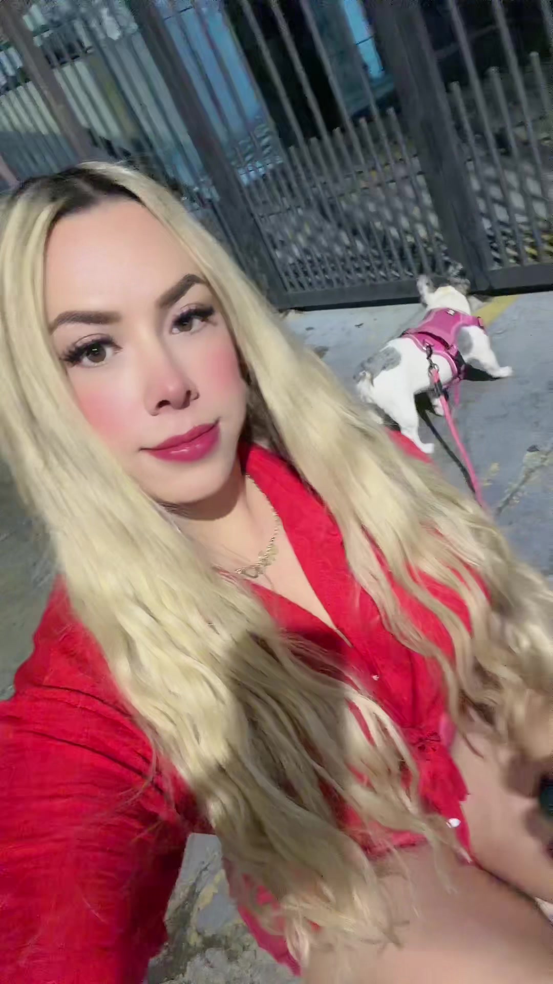 @alejandra.mendozam