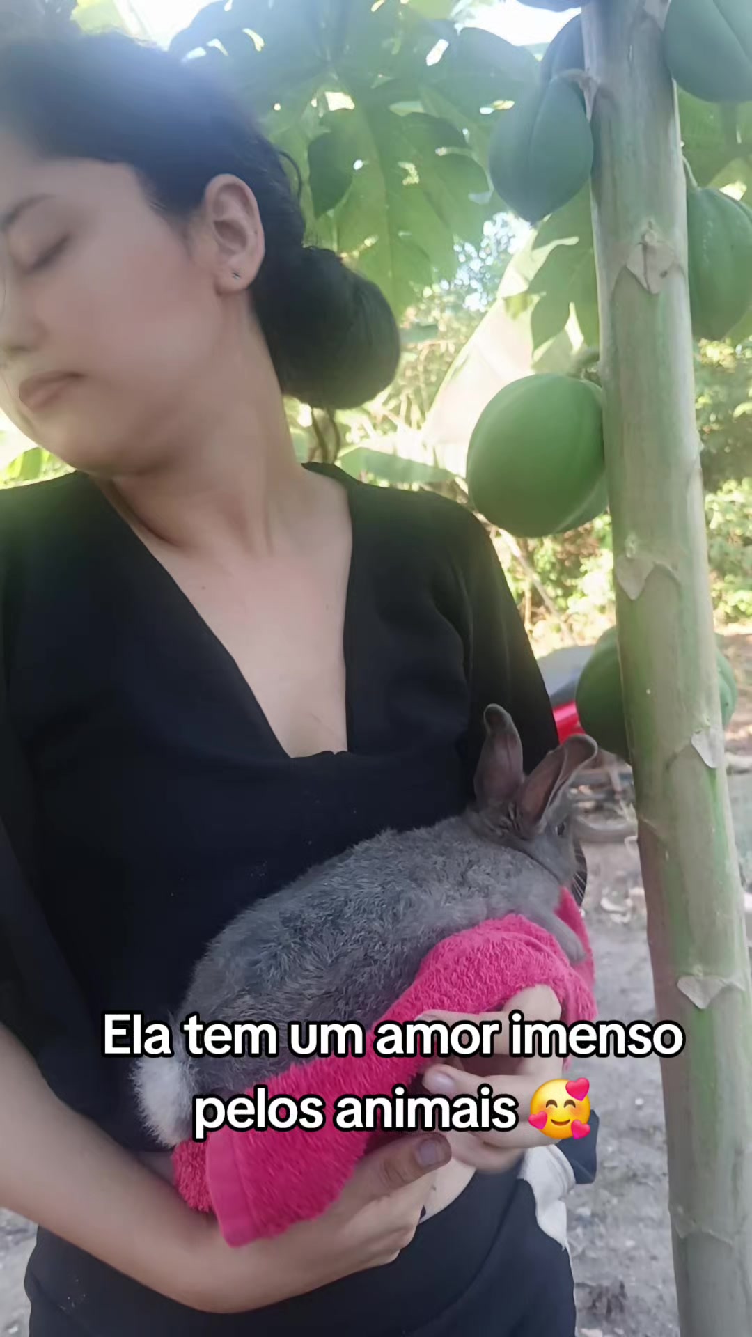 @taina e thania