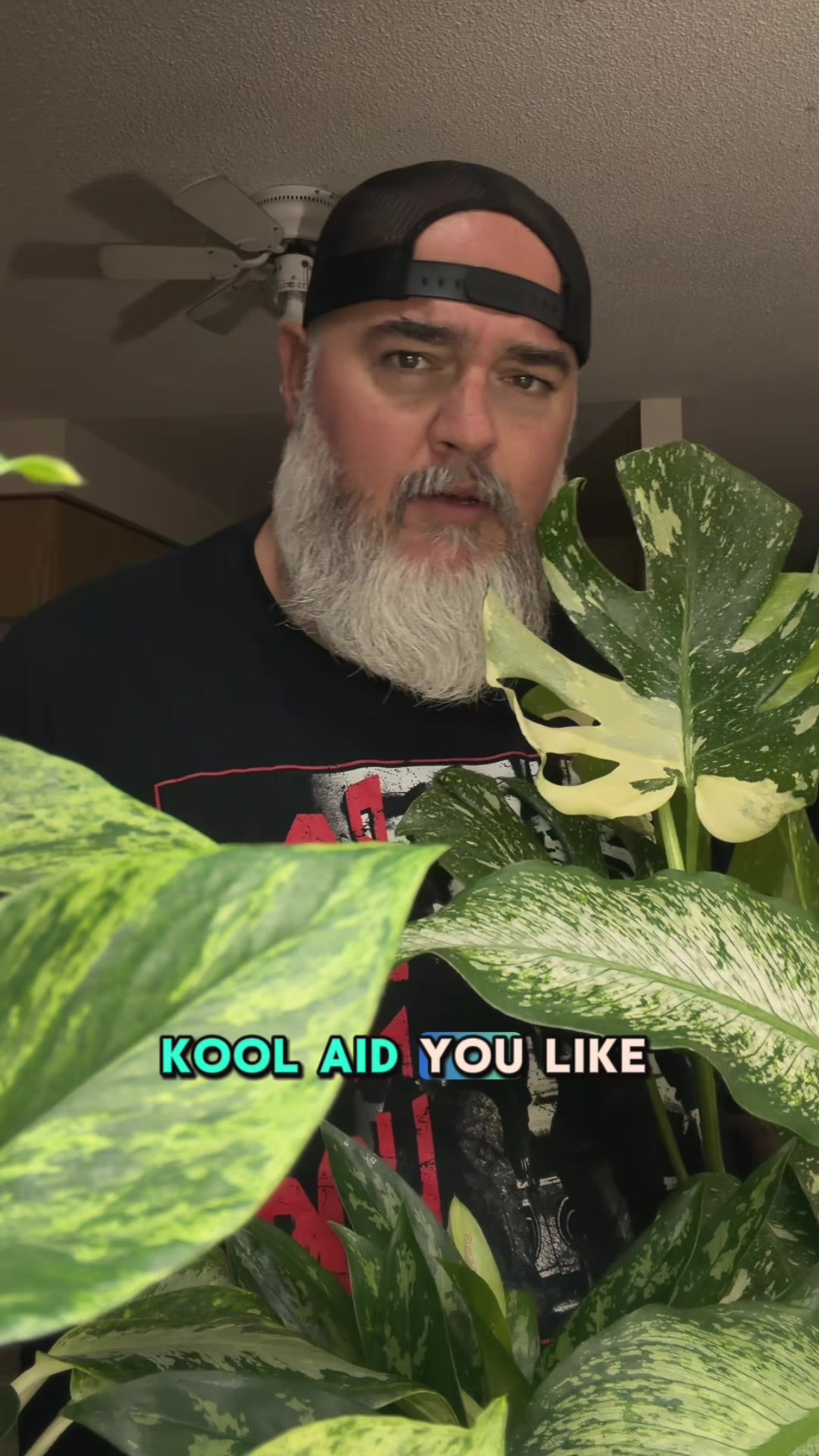 @Chris.Cherry.KOOLAID