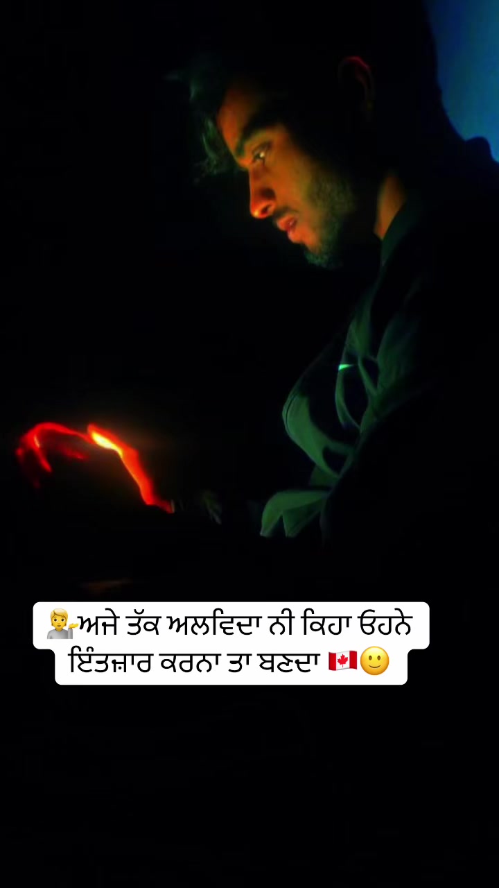 @vehlijanta761