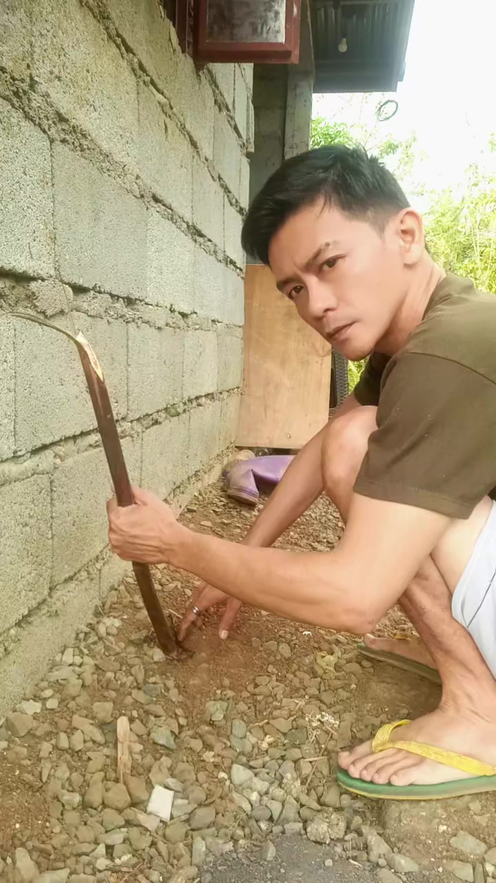 @natoy