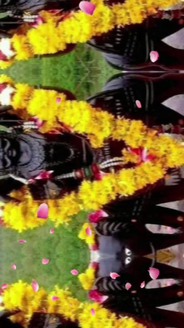 @NAGENDRA YADAV 432
