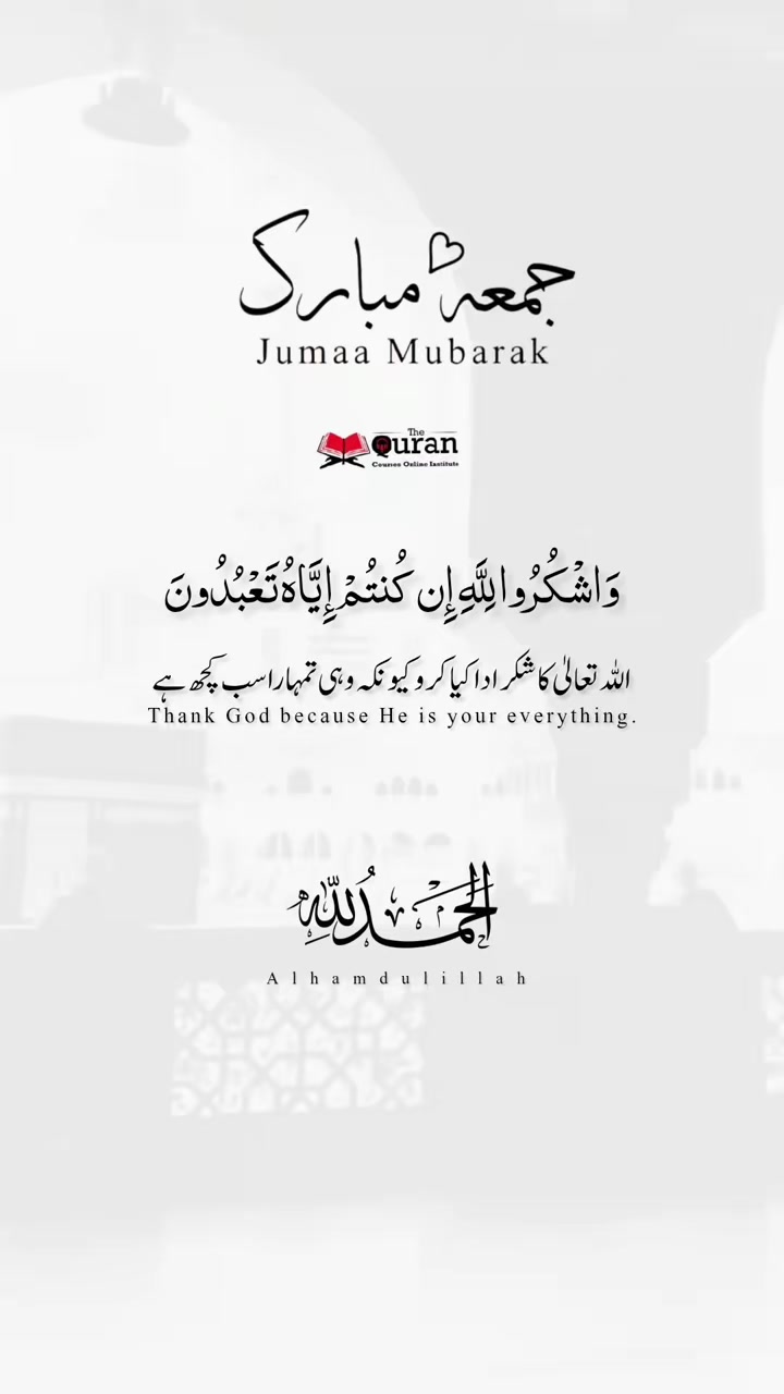 @حیدر🇶🇦