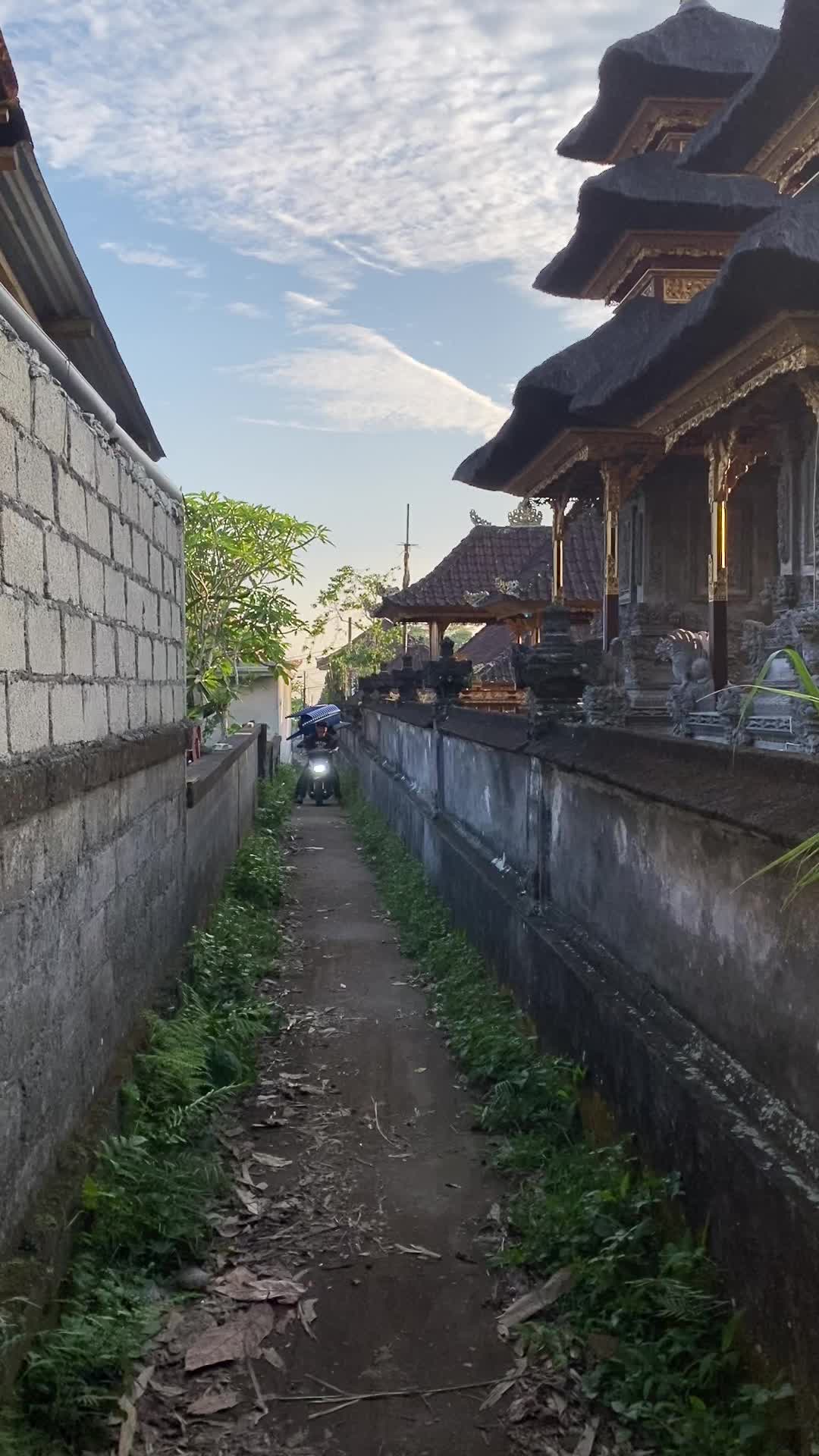 @Satya darma dekorasi