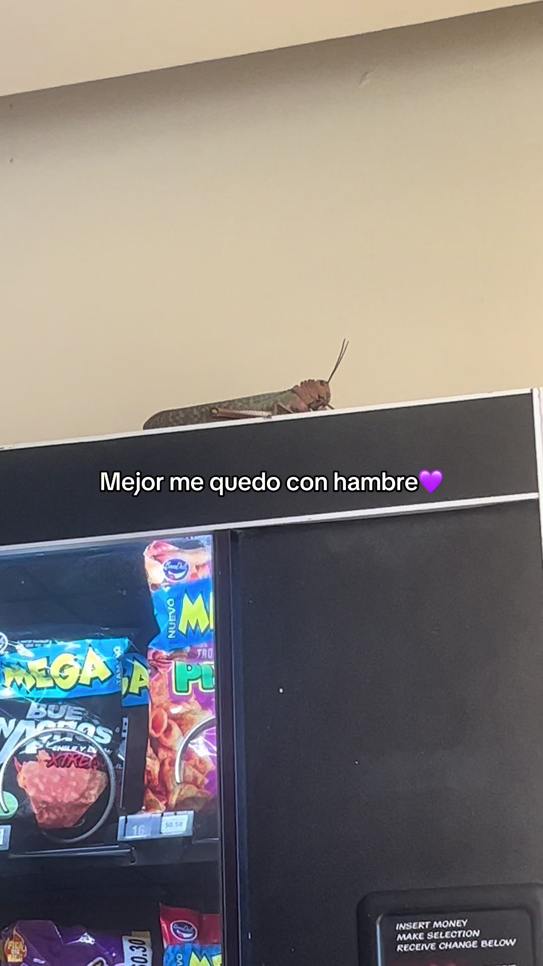 @LAMACHUSITA🐀💨