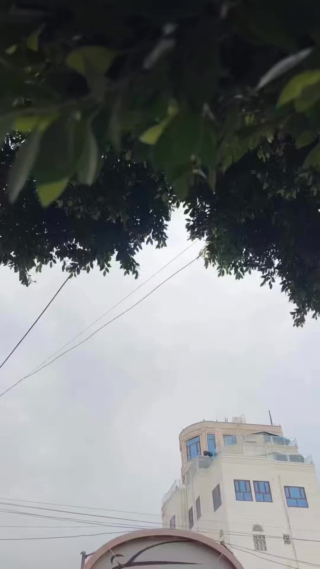 @أبو مبارك