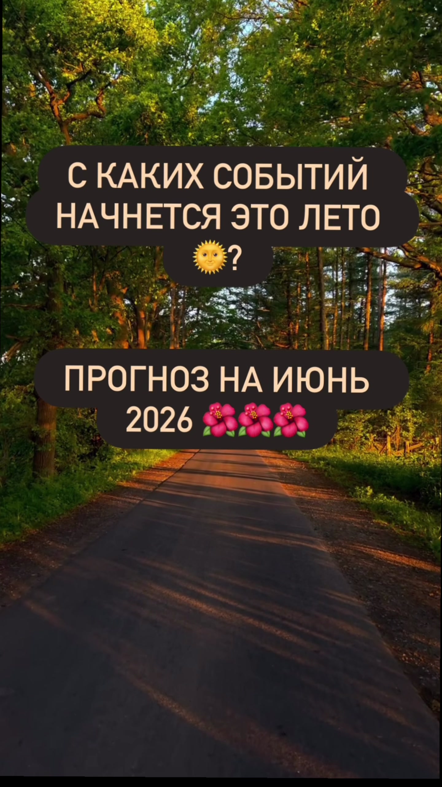 @nikadar_369