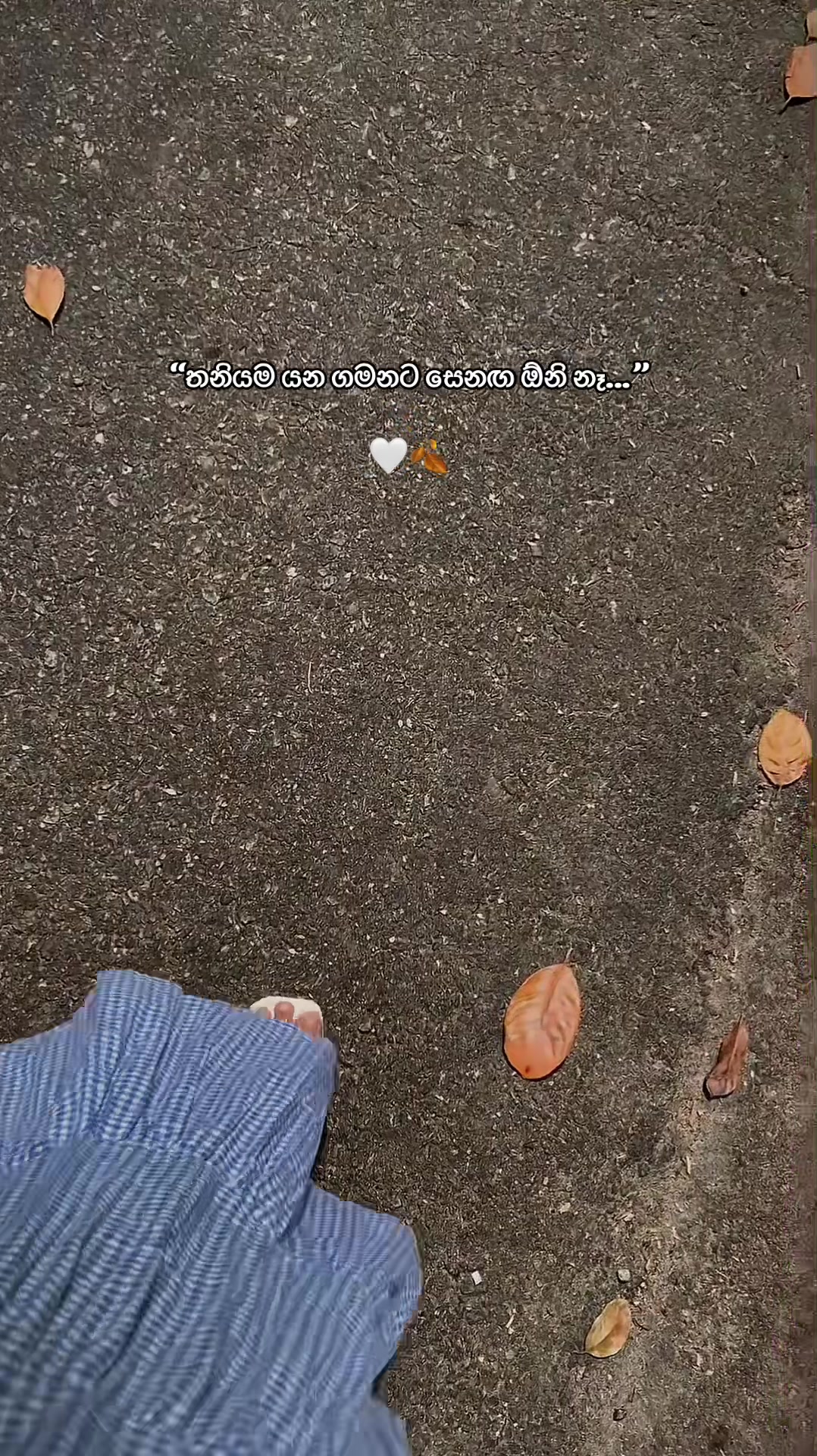 @Sanjana