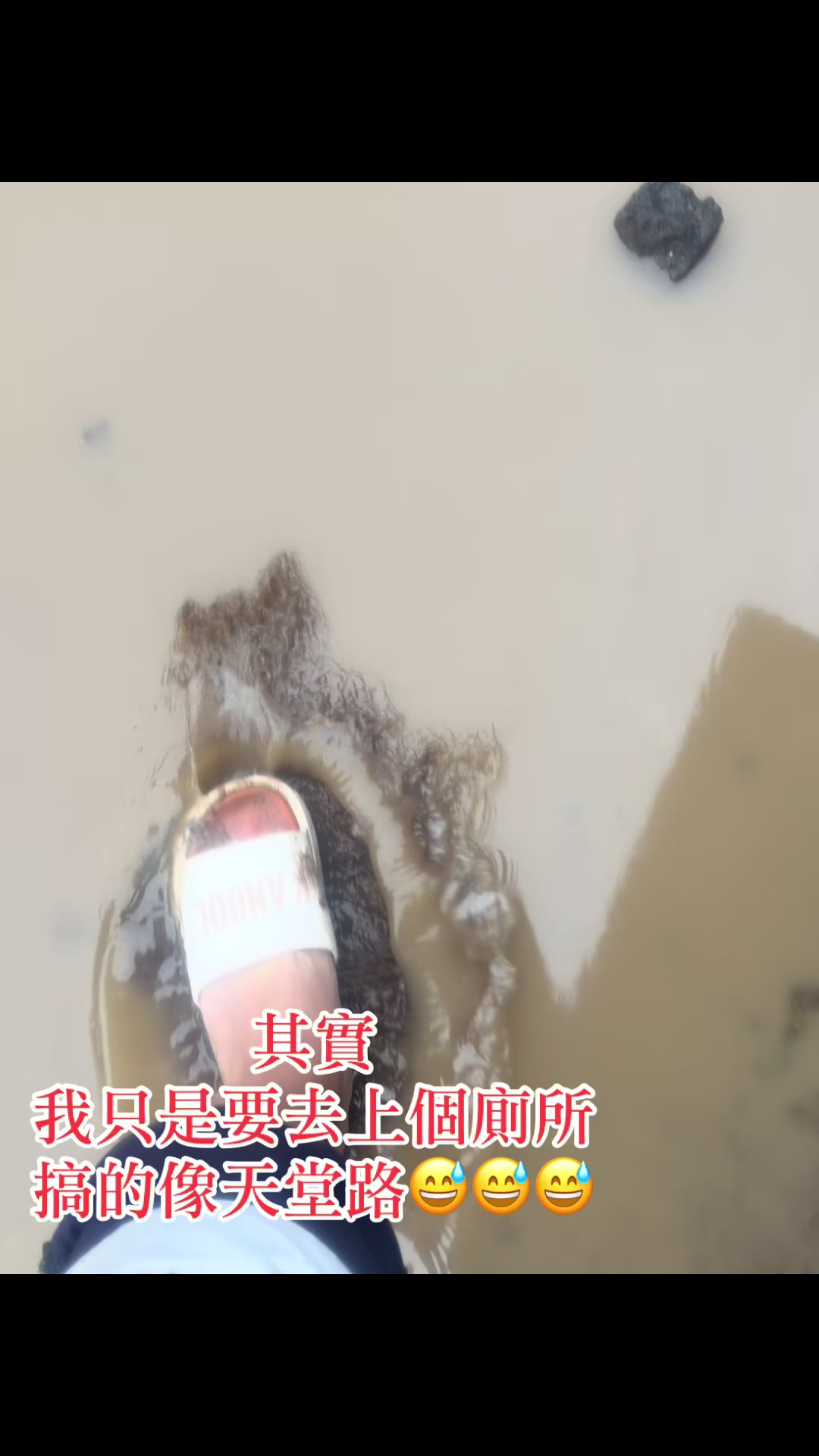 @🐭洋鼠鼠🐭