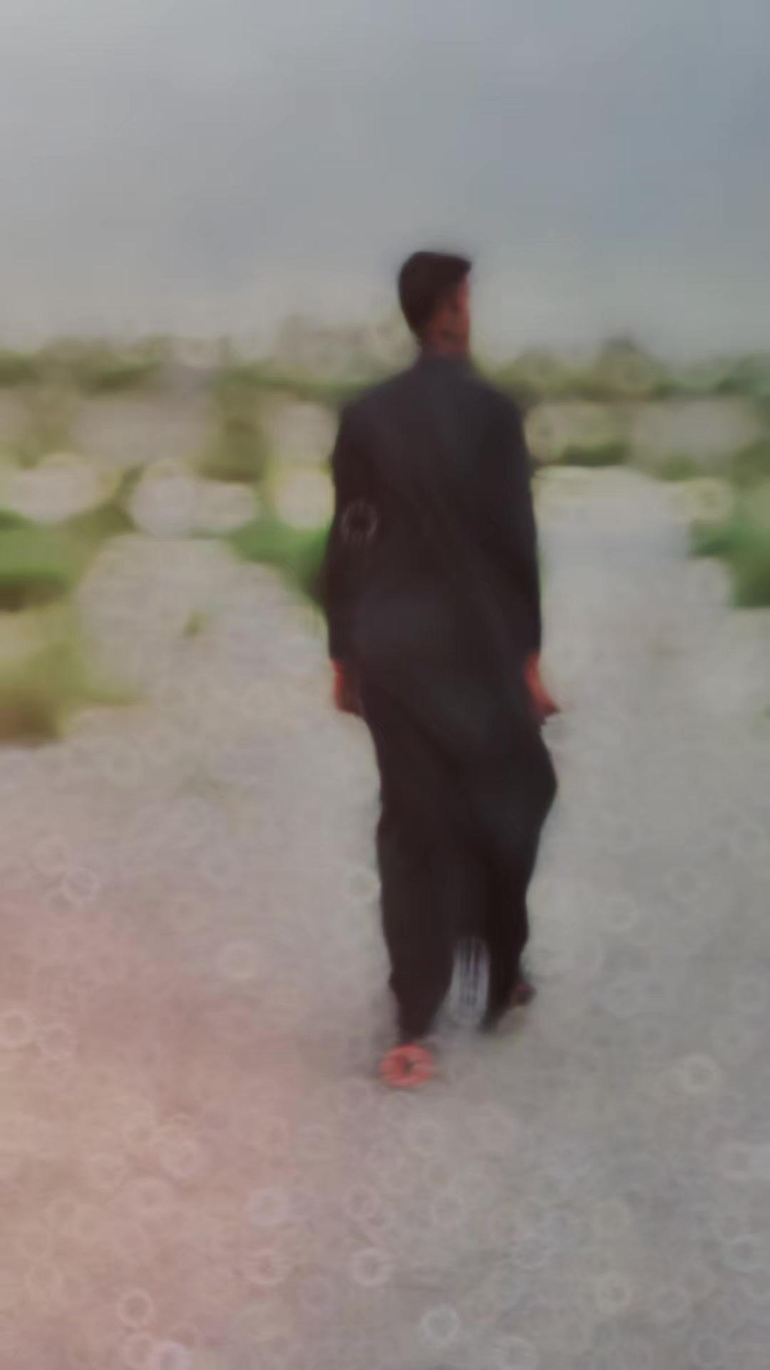 @👑 عامر پرکانی 👑