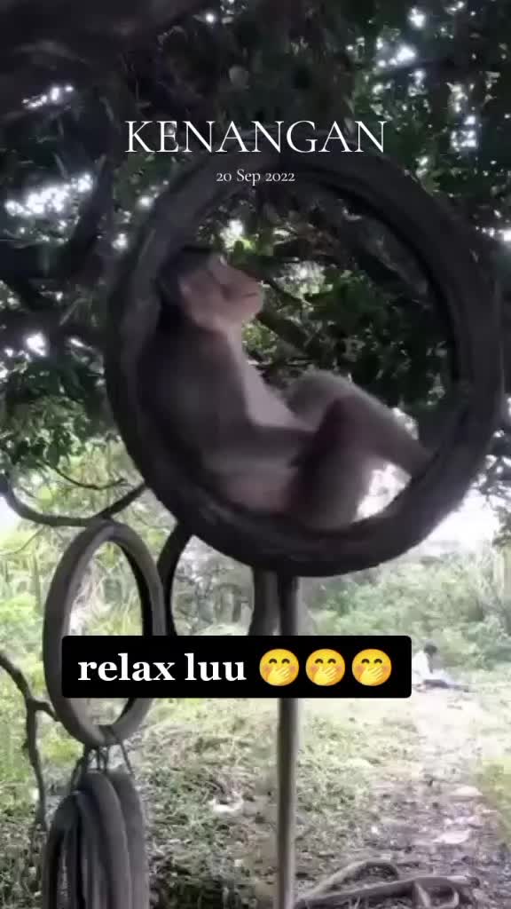 @idazuraidah_