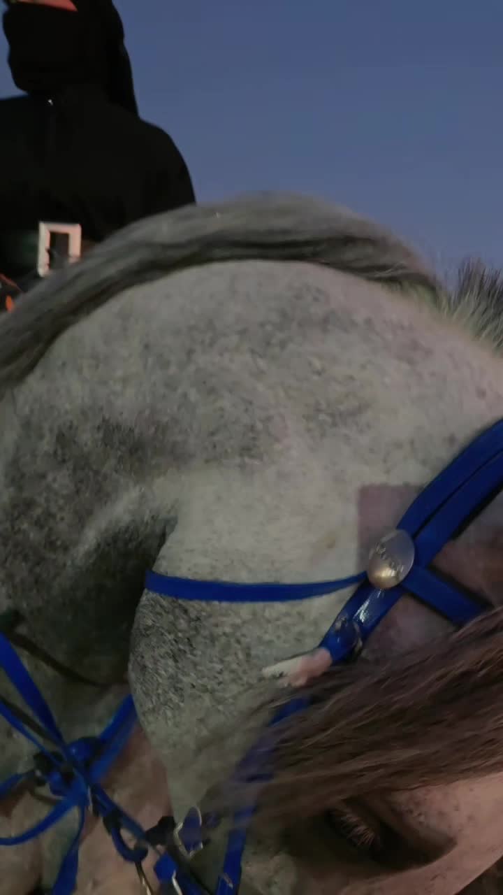 @الفارسة الملثمة 🐎🥷