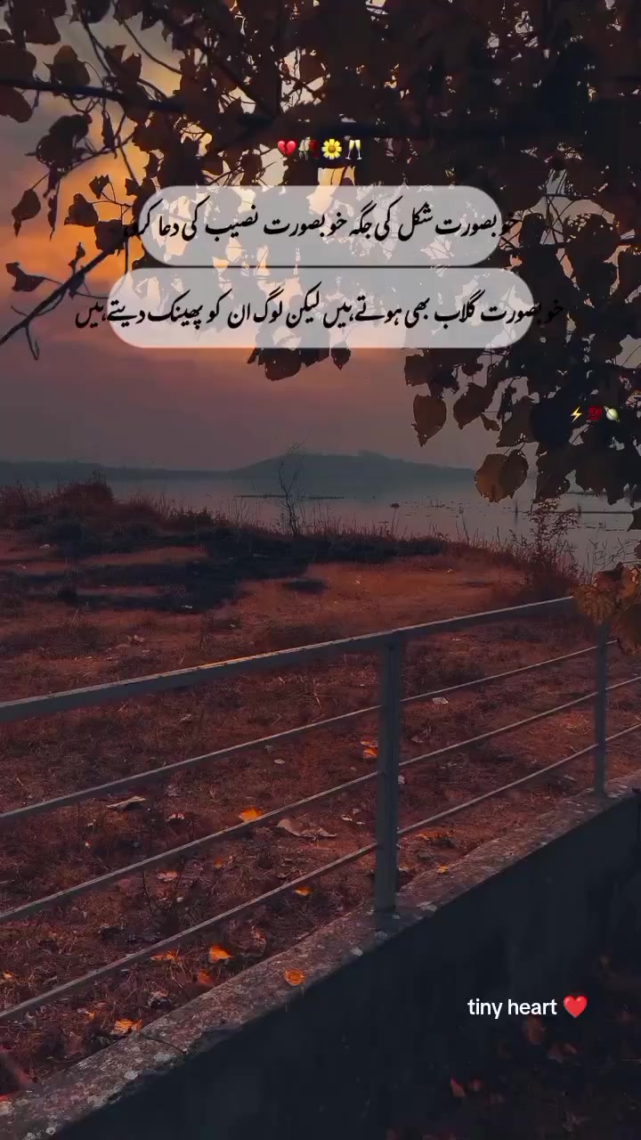 @colours of life 🧬