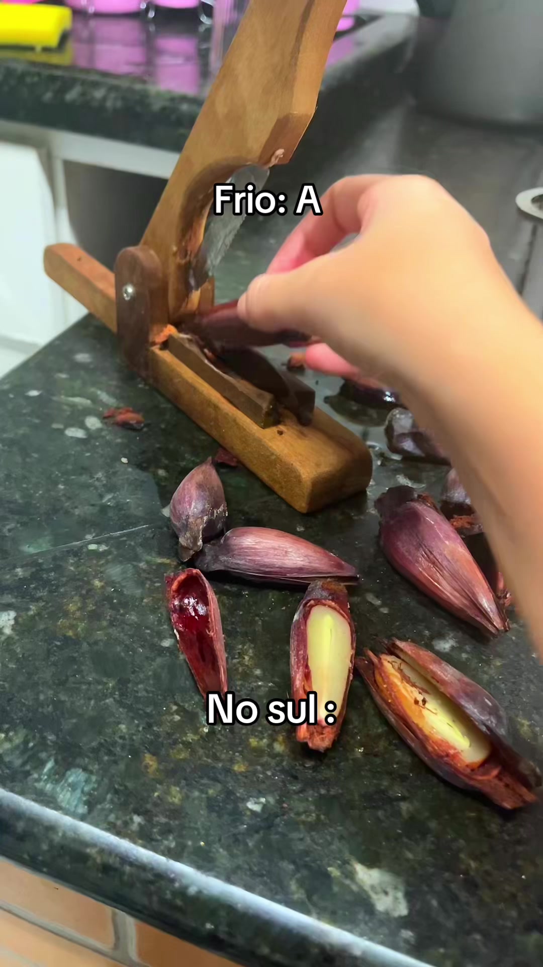 @Ana Paula Klaumann
