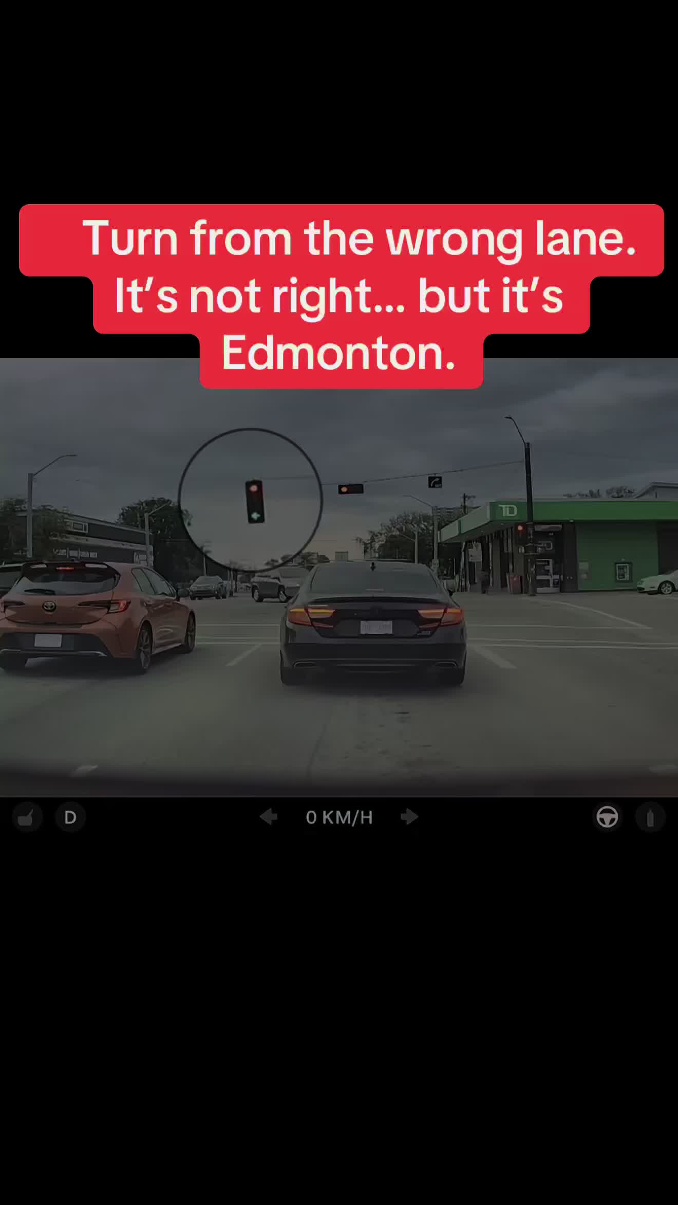 @Bad Driver Edmonton