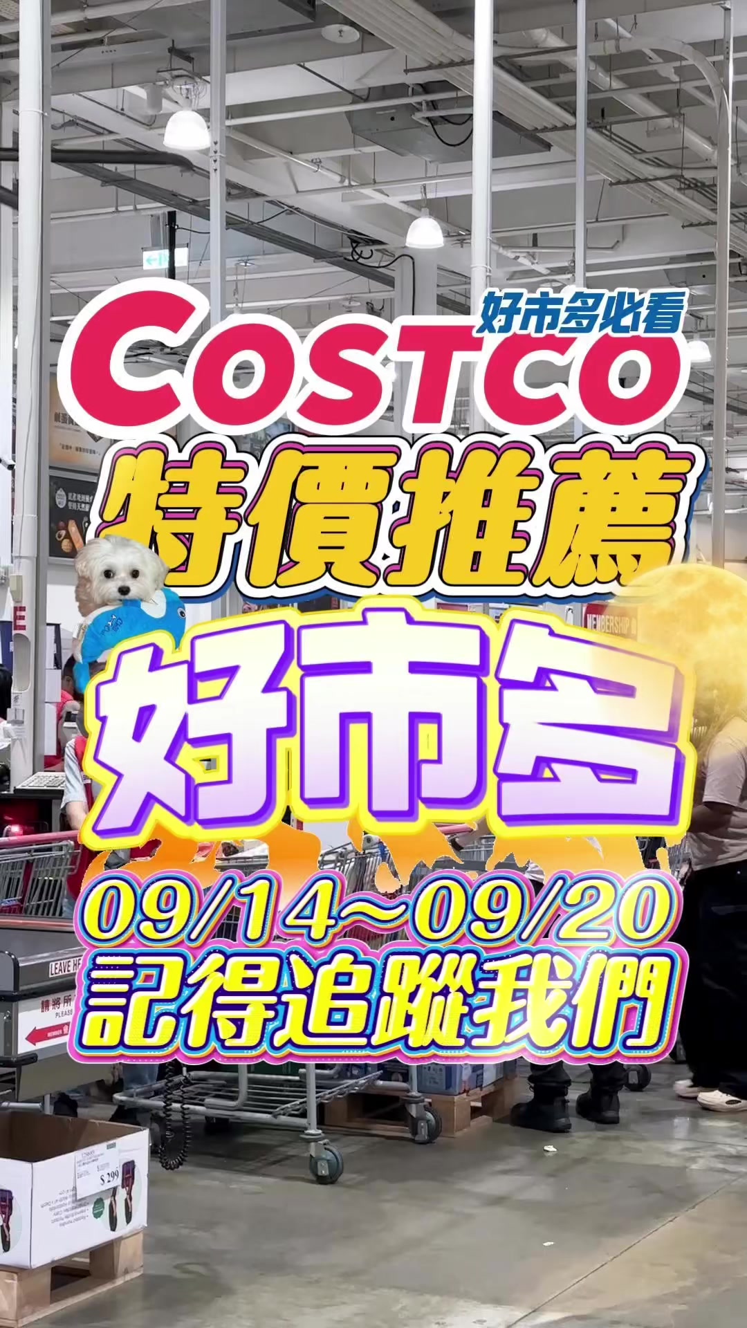 @Youtube搜尋🔍可可酒精