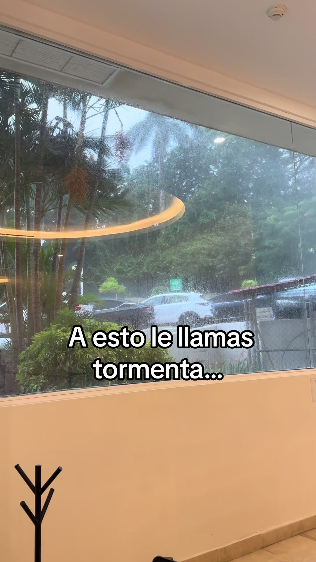 @Belen Ryz
