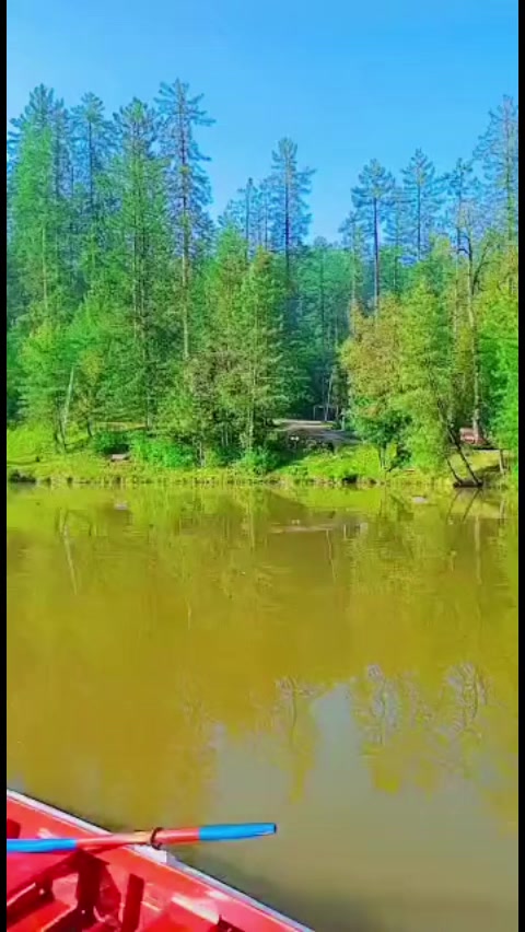 @Sunny Balouch✔️