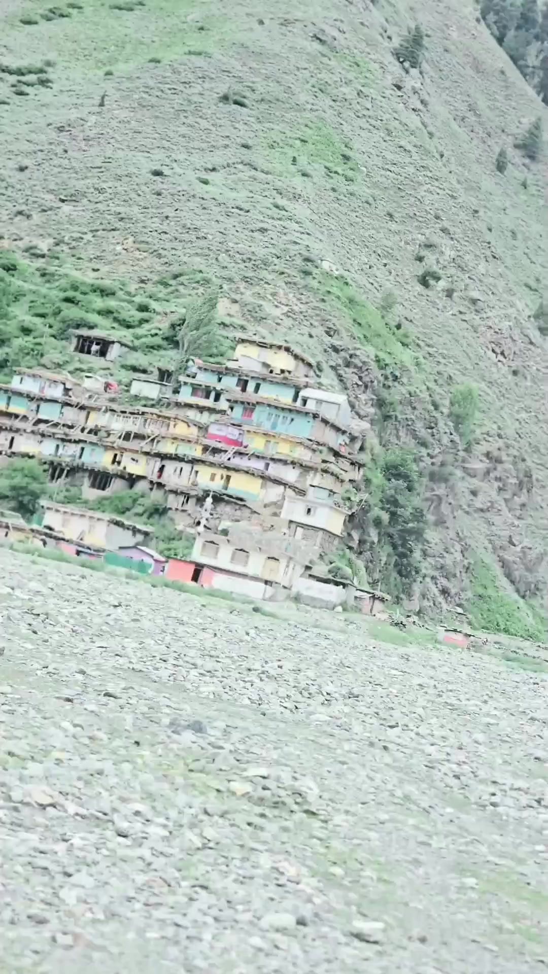 @🦁ہشام خان اخوندزادہ👑