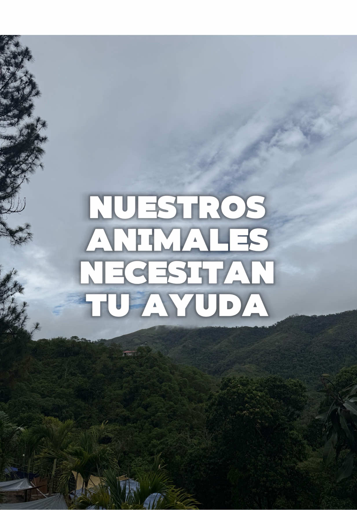 @La Casita del Avestruz