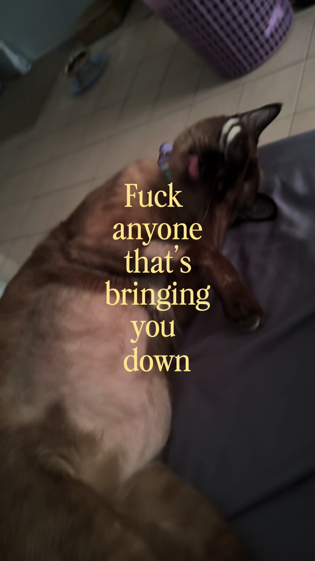 @Faah.