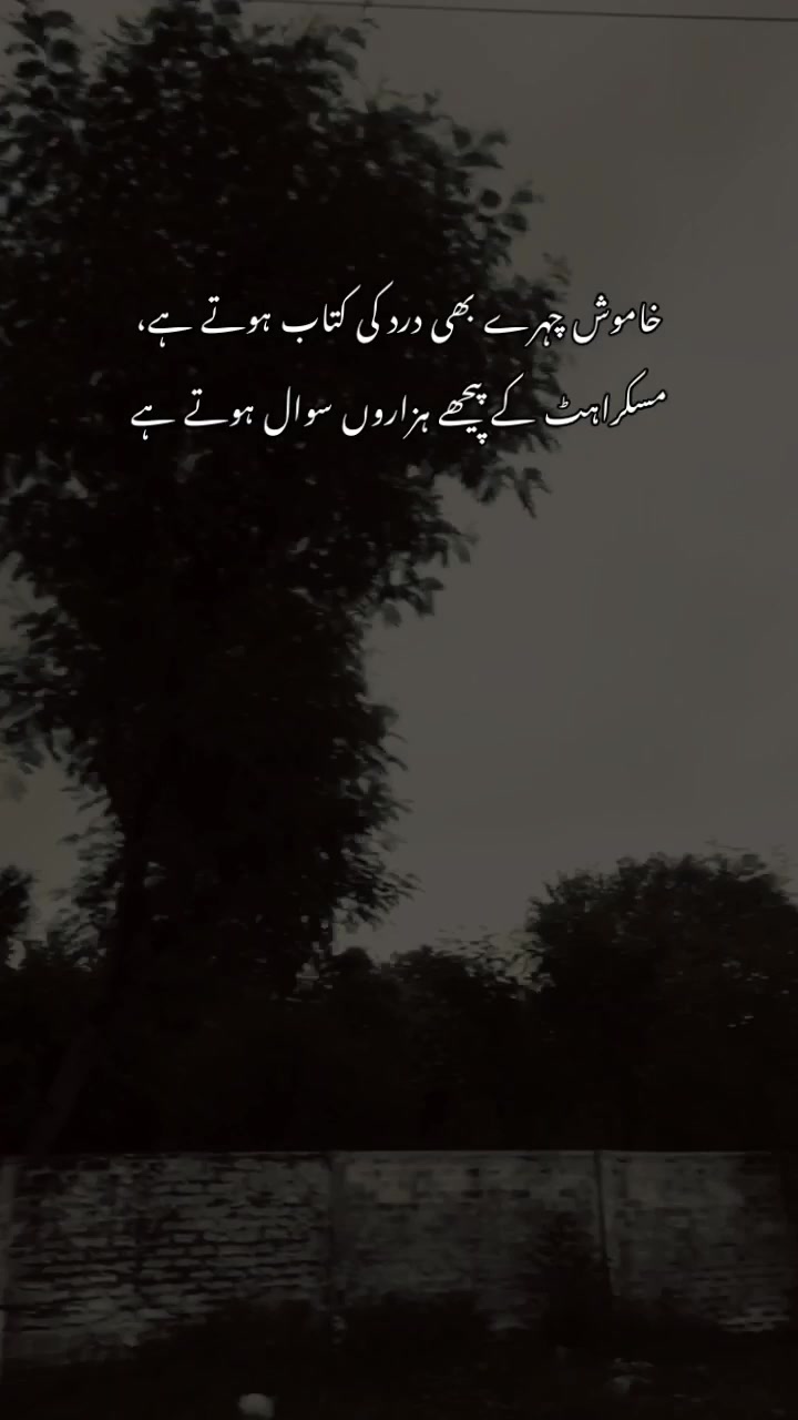 @>پاگل ہو <🦋