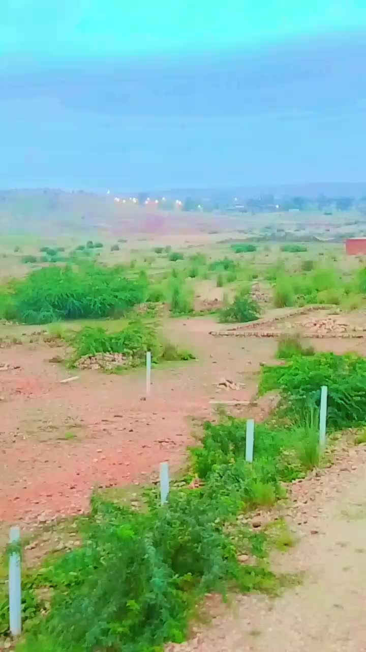 @Habib.urrahman