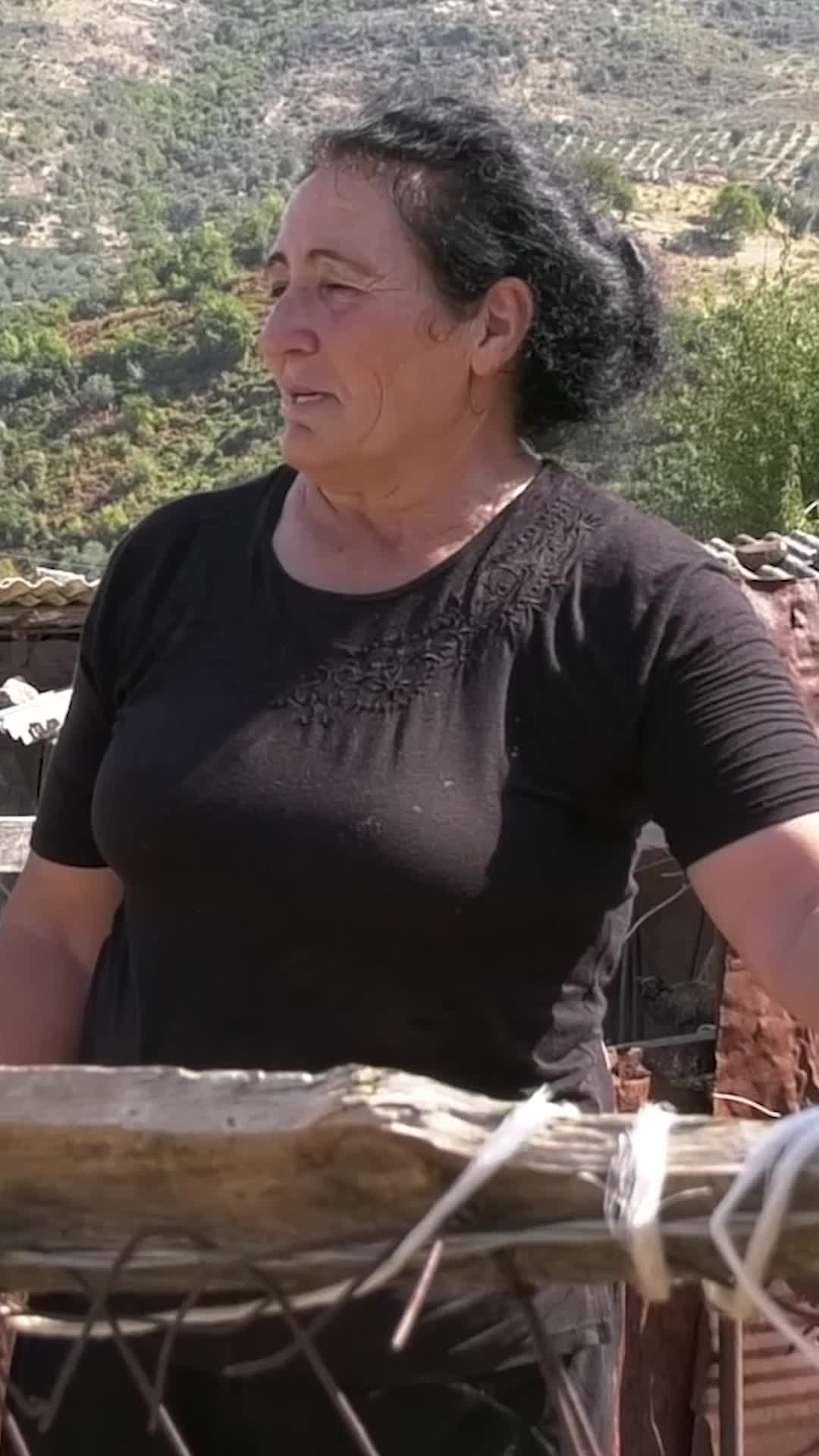 @blutelevizion