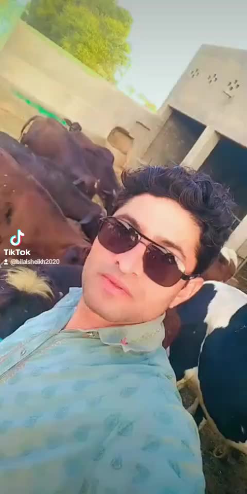 @Bilal Sheikh