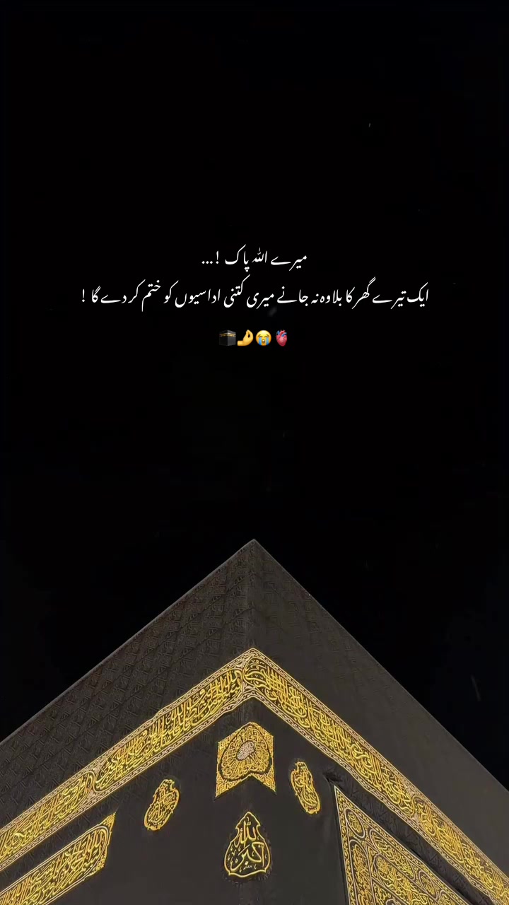 @𝑺𝒉𝒂𝒊𝒏𝒂 ✨❤️