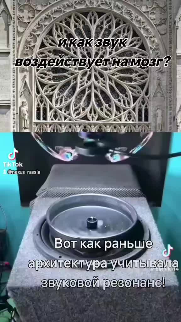 @🇷🇺НЕКСУС🇷🇺