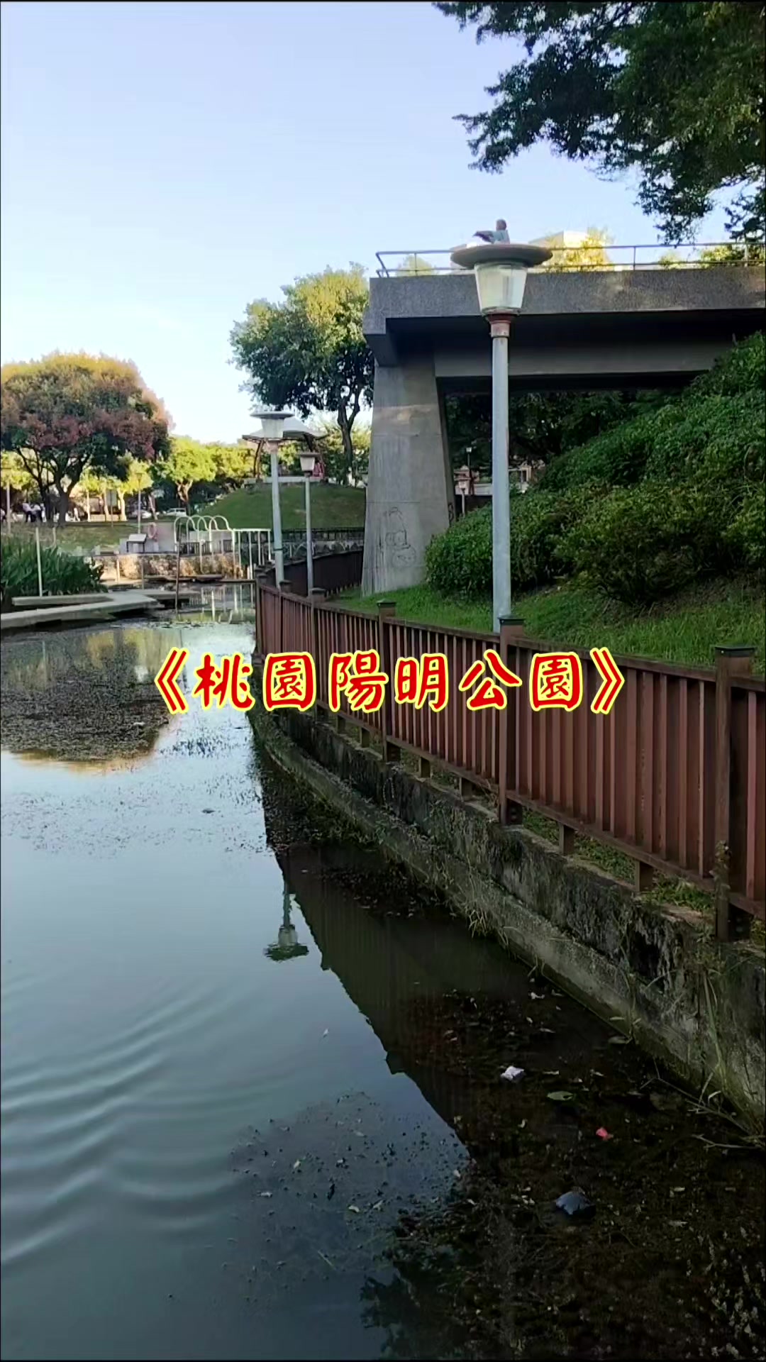 @雞不叫也天亮